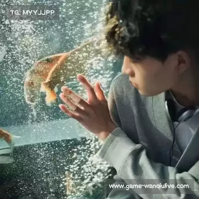 万瑛羚